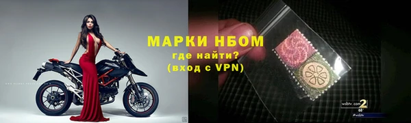 ПСИЛОЦИБИНОВЫЕ ГРИБЫ Краснослободск