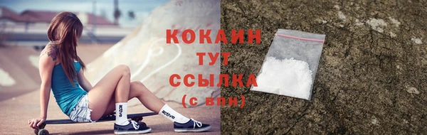 ПСИЛОЦИБИНОВЫЕ ГРИБЫ Краснослободск