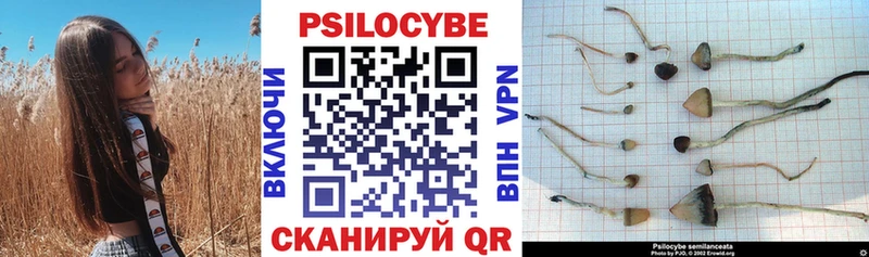 Галлюциногенные грибы Psilocybe Касли