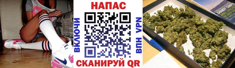 Купить  Касли  Бошки Шишки индика 